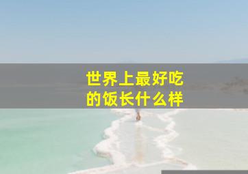 世界上最好吃的饭长什么样