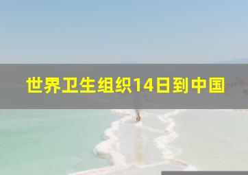 世界卫生组织14日到中国