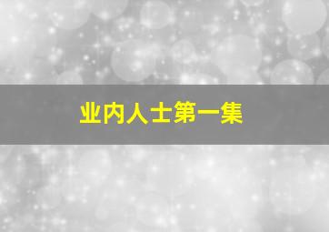 业内人士第一集