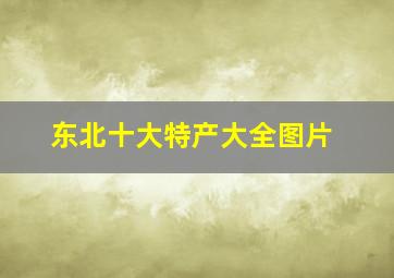 东北十大特产大全图片