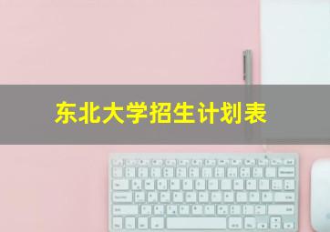 东北大学招生计划表