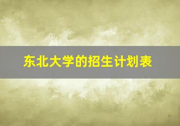 东北大学的招生计划表