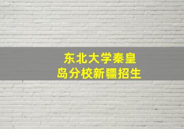 东北大学秦皇岛分校新疆招生