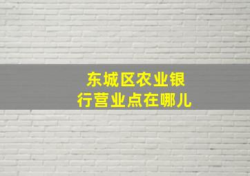 东城区农业银行营业点在哪儿