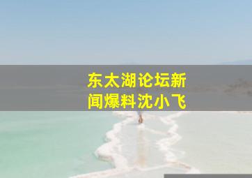 东太湖论坛新闻爆料沈小飞