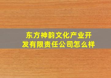 东方神韵文化产业开发有限责任公司怎么样