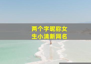 两个字昵称女生小清新网名