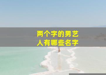 两个字的男艺人有哪些名字