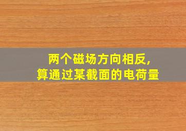 两个磁场方向相反,算通过某截面的电荷量