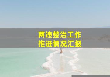 两违整治工作推进情况汇报