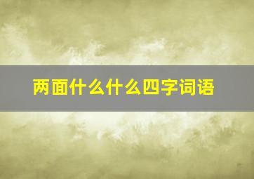 两面什么什么四字词语