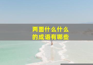 两面什么什么的成语有哪些