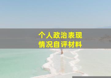 个人政治表现情况自评材料