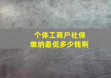 个体工商户社保缴纳最低多少钱啊