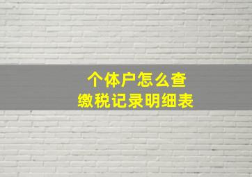 个体户怎么查缴税记录明细表