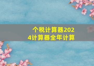 个税计算器2024计算器全年计算