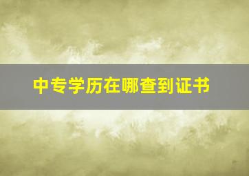 中专学历在哪查到证书