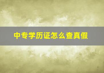 中专学历证怎么查真假