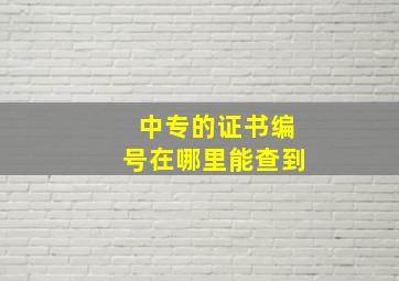 中专的证书编号在哪里能查到