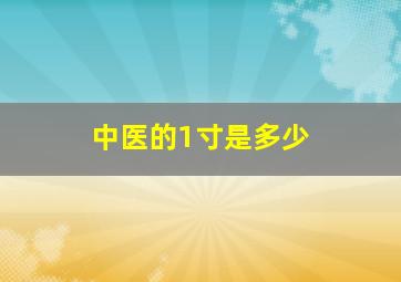 中医的1寸是多少