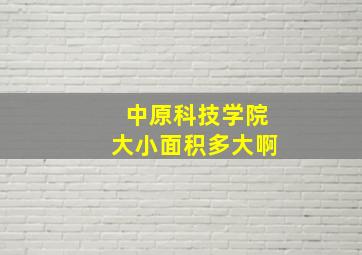 中原科技学院大小面积多大啊