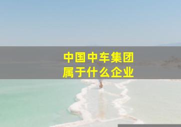 中国中车集团属于什么企业