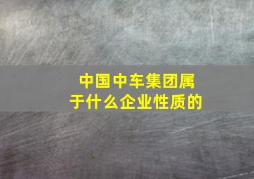 中国中车集团属于什么企业性质的