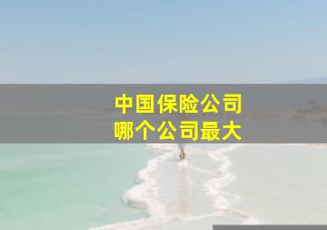 中国保险公司哪个公司最大