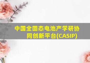 中国全固态电池产学研协同创新平台(CASIP)