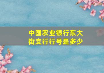 中国农业银行东大街支行行号是多少