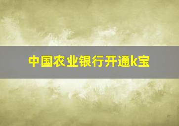 中国农业银行开通k宝