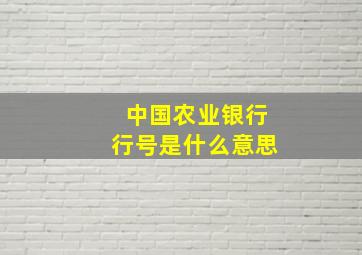 中国农业银行行号是什么意思