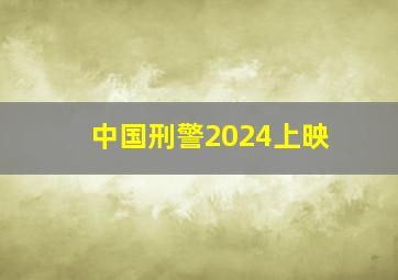 中国刑警2024上映