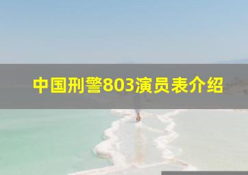 中国刑警803演员表介绍