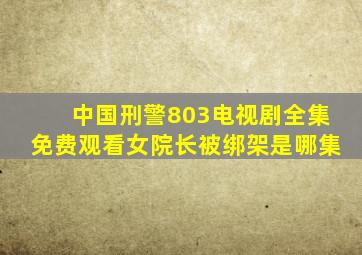 中国刑警803电视剧全集免费观看女院长被绑架是哪集