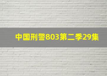 中国刑警803第二季29集