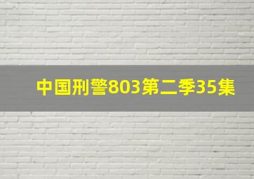 中国刑警803第二季35集