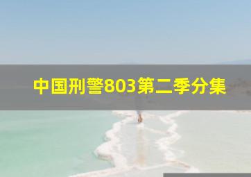 中国刑警803第二季分集