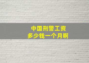 中国刑警工资多少钱一个月啊