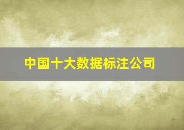 中国十大数据标注公司