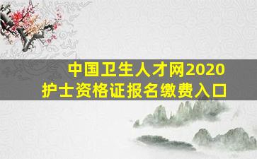 中国卫生人才网2020护士资格证报名缴费入口