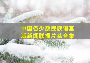 中国各少数民族语言版新闻联播片头合集