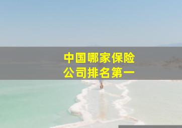 中国哪家保险公司排名第一