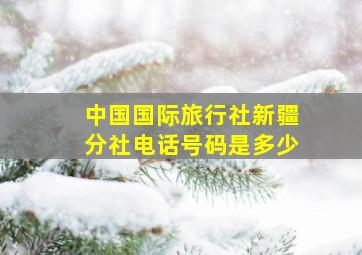 中国国际旅行社新疆分社电话号码是多少