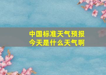 中国标准天气预报今天是什么天气啊