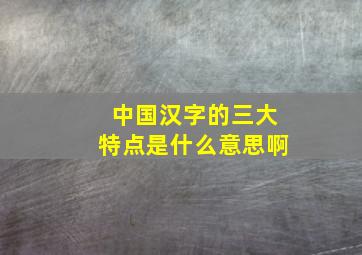 中国汉字的三大特点是什么意思啊