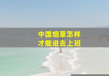 中国烟草怎样才能进去上班