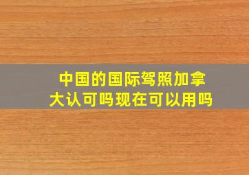 中国的国际驾照加拿大认可吗现在可以用吗