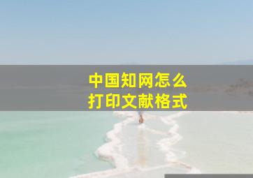 中国知网怎么打印文献格式