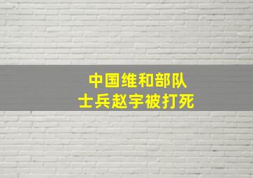 中国维和部队士兵赵宇被打死